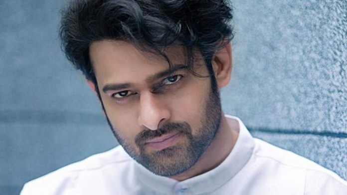Saaho Collects 100 Crores In Hindi