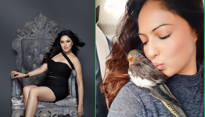 Nikisha-Patel-Bird-Pregnancy-Story