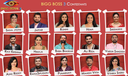 Short-Review-About-Bigg-Boss3-Telugu-Housemates