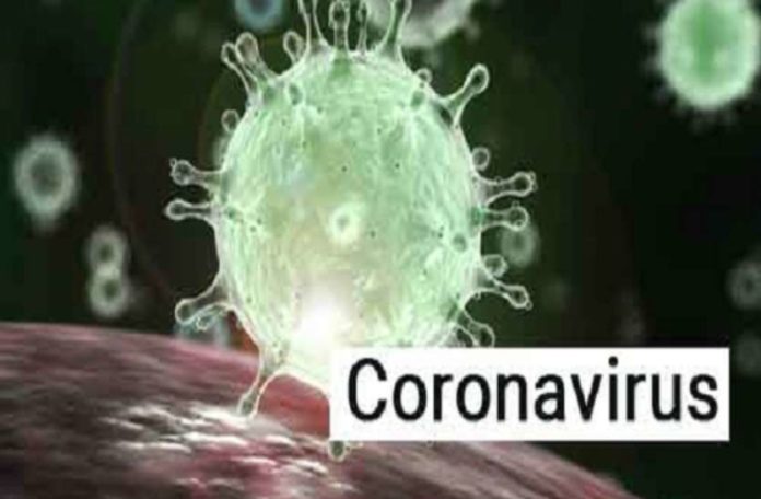 Corona Virus 1