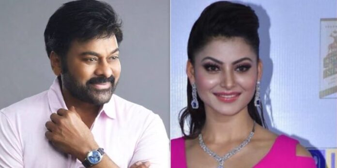 Chiranjeevi: ఊర్వశి రౌతేలాకు చిరంజీవి సాయం.. జీవితాంతం రుణపడి ఉంటామన్న నటి