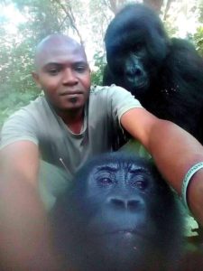 gorillas-telugu-bulletin