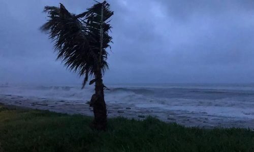 Cyclone Fani Telugu Bulletin