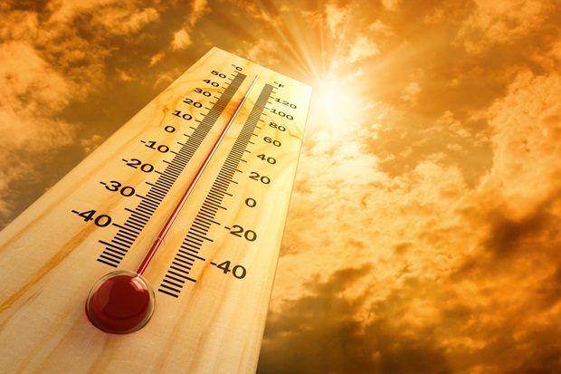 Heatwave Telugu Bulletin