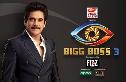 Bigg Boss Telugu Season 3 Online Voting – Public Opinion Poll (Unofficial)