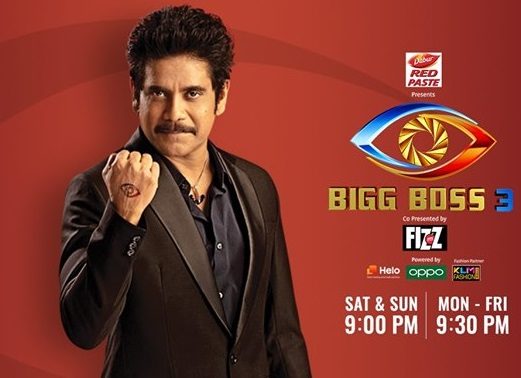 Bigg Boss 3 Telugu Hints The Winner!