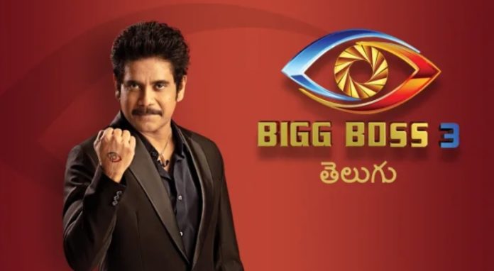 Who Do You Think Are The Top 3 Contestants Of Bigg Boss 3 Telugu?