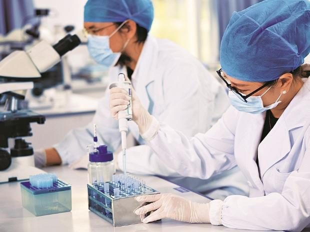 Iit Hyderabad Team Develops New Treatment Of Cancer