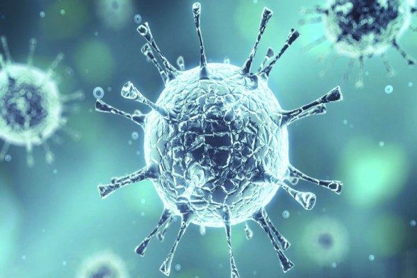 New Virus In China – Rapidly Spreading In Asia