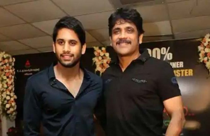 Akkineni Clash : Father And Son To Fight It Out At Box Office