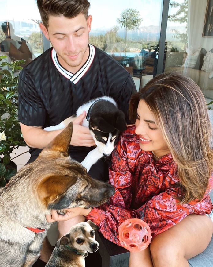 Priyanka And Nick Welcome A New Member Into Their Family!