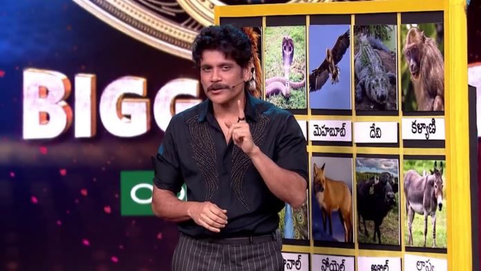 Bb4 Telugu: One Contestant Gets Eliminated While Another Makes A Wild Card Entry On 8th Day