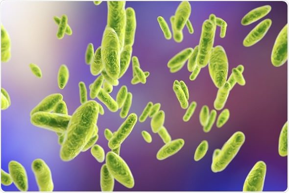 After Virus, Bacteria Is Creating Panic – Brucellosis Turning Big!