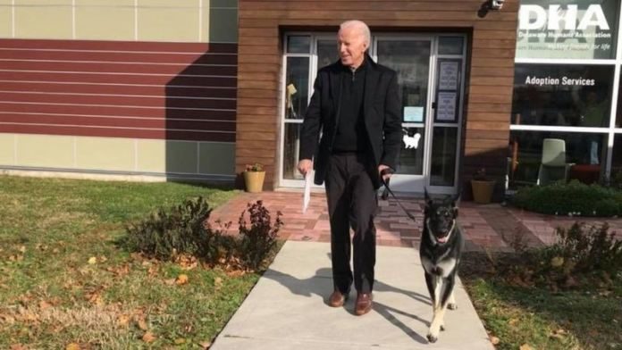 Biden Suffers From Hairline Fractures In His Foot After Slipping While Playing With His Dog