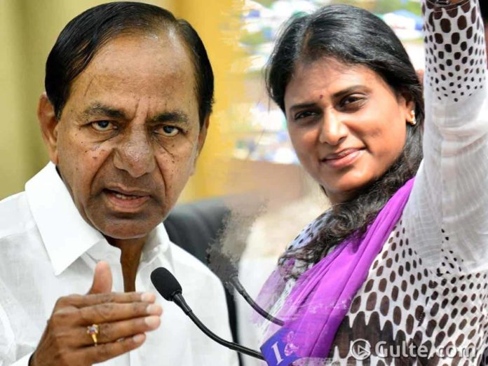 KCR and TRS leaders are behind YS Sharmila?