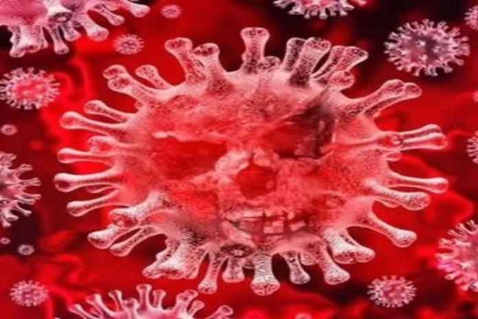 India Must Be VigilanaIndia must be vigilant of coronavirus for another two years: Chinmay Tumbet Of Coronavirus For Another Two Years: