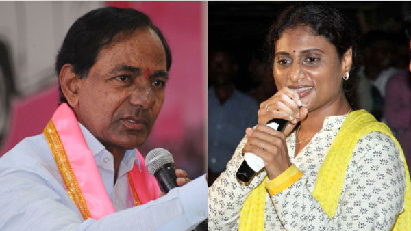 KCR agreed to give free vaccine because of my demand: YS Sharmila