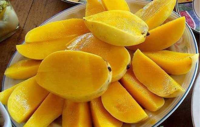 China and USA rejected the mangoes sent by Pakistan govt