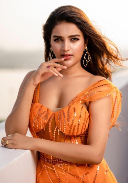 Pic Talk: Niddhi Agerwal Ups The Hotness Quotient