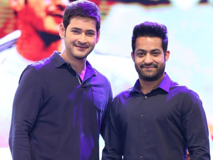 Ntr And Mahesh Babu’s Fans In A Dilemma