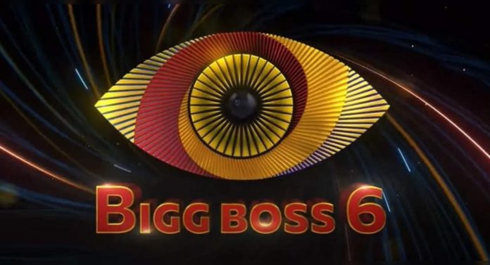Exclusive: Bigg Boss Season 6 Third Elimination Revealed!