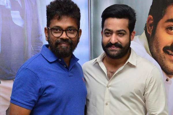 Jr Ntr To Team Up With This Star Director Again