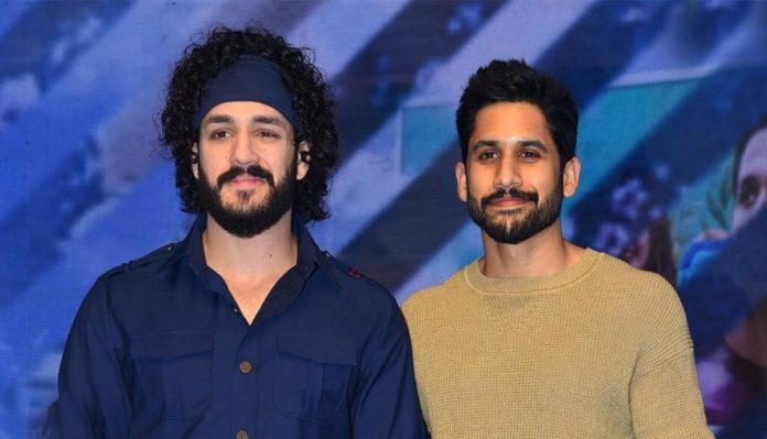 Akhil And Chay Reply To Balakrishna’s Comment On Akkineni