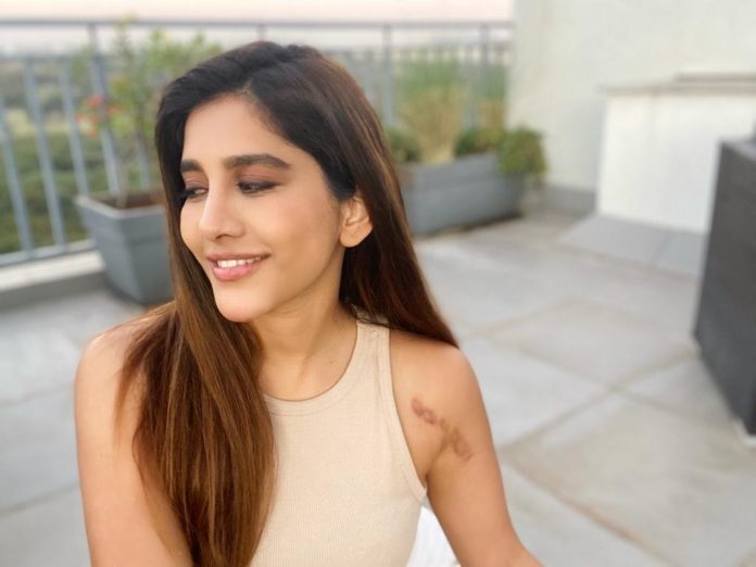Nabha Natesh Suffered A Bad Accident, Multiple Surgeries