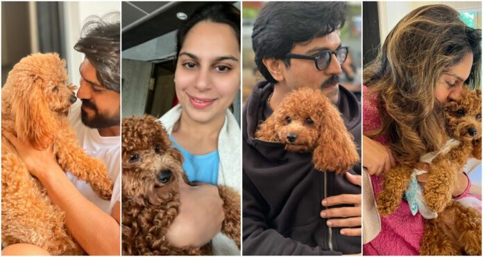 Ram Charan’s Rhyme Breaks Internet On National Pet Day